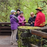 Hikers on Moulton Falls Trail