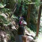 Hikers on the Trail