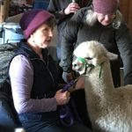 Alpaca with Owner Pam