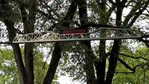 Nutty Squirrel Bridge