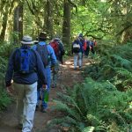 Hikers Continue on the Trail