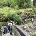 Hikers on the Climb