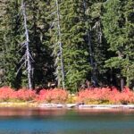 Foliage Lower Twin Lake