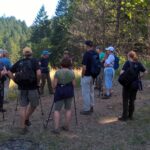 Hikers at Clearing