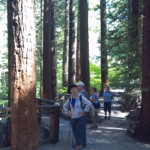 Hikers in the Redwood Section