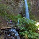 Waterfall and Stream