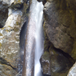 Falls with Log Inside