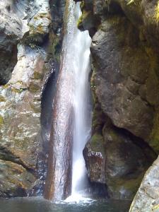 Falls with Log Inside