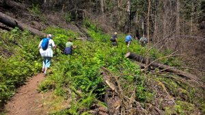 Hikers Return on Dry Creek Falls Trail